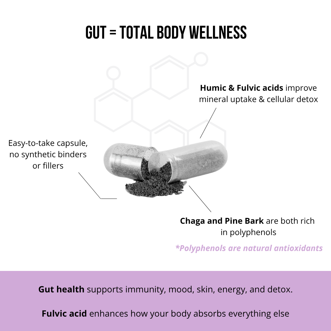Gut Wellness - Health Logic