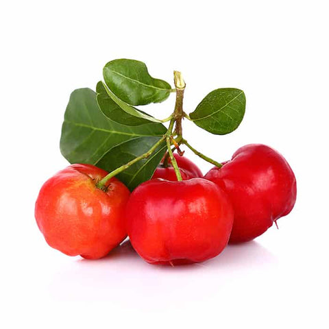 Acerola Cherry Extract