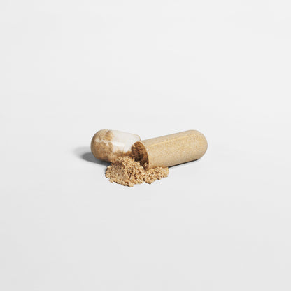 Sleep Elixir - Health Logic 