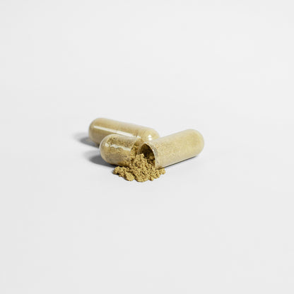 Moringa Pure - Health Logic 