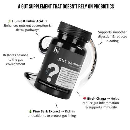 Gut Wellness - Health Logic 